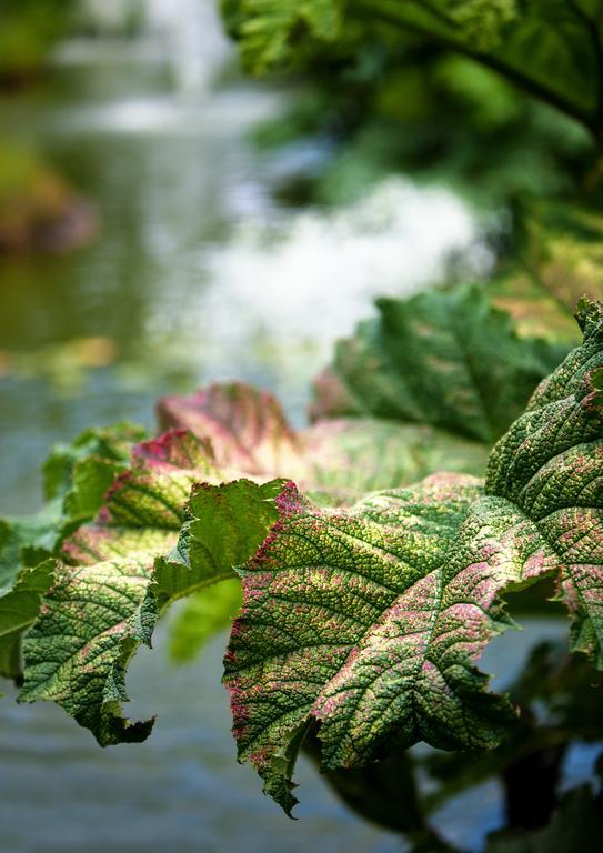 Egrove Park, University Of Oxford South Hinksey Buitenkant foto