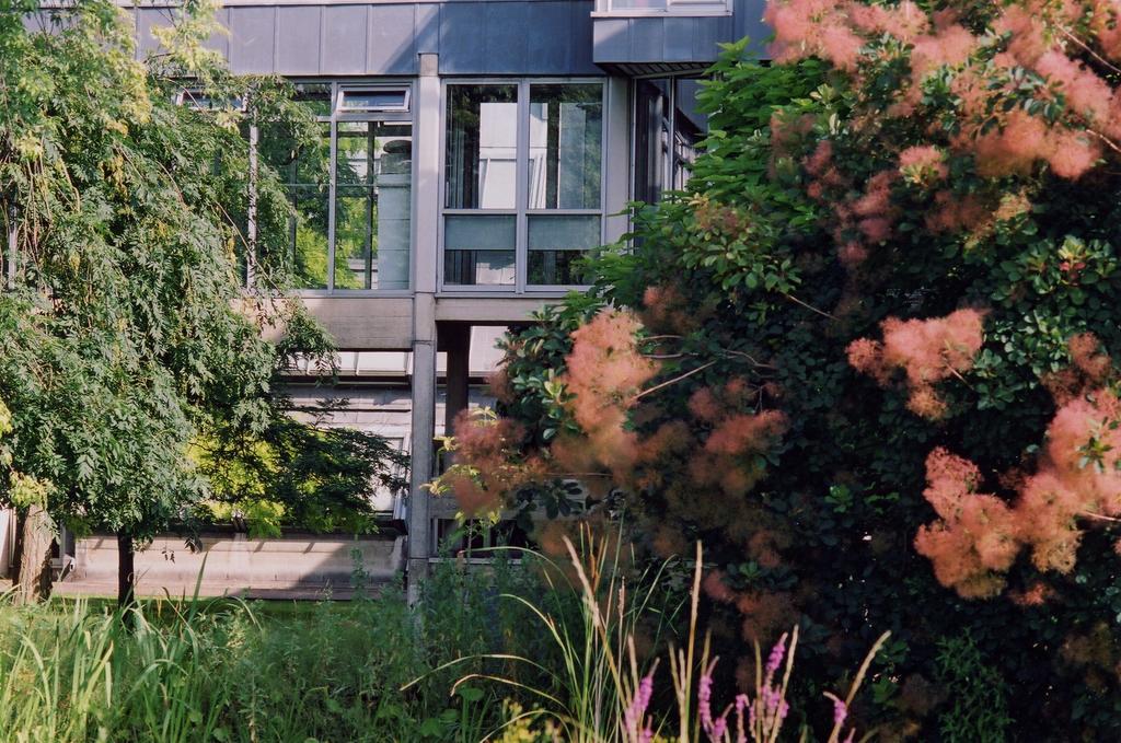 Egrove Park, University Of Oxford South Hinksey Buitenkant foto